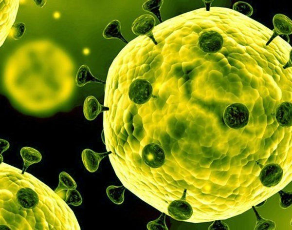 Coronavirus Covid-19...Let's talk about it.