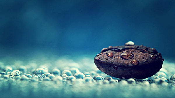 Does Coffee Go Bad?