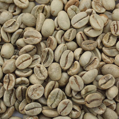 Monsooned Malabar - Limited Edition - Iron Bean Coffee Company